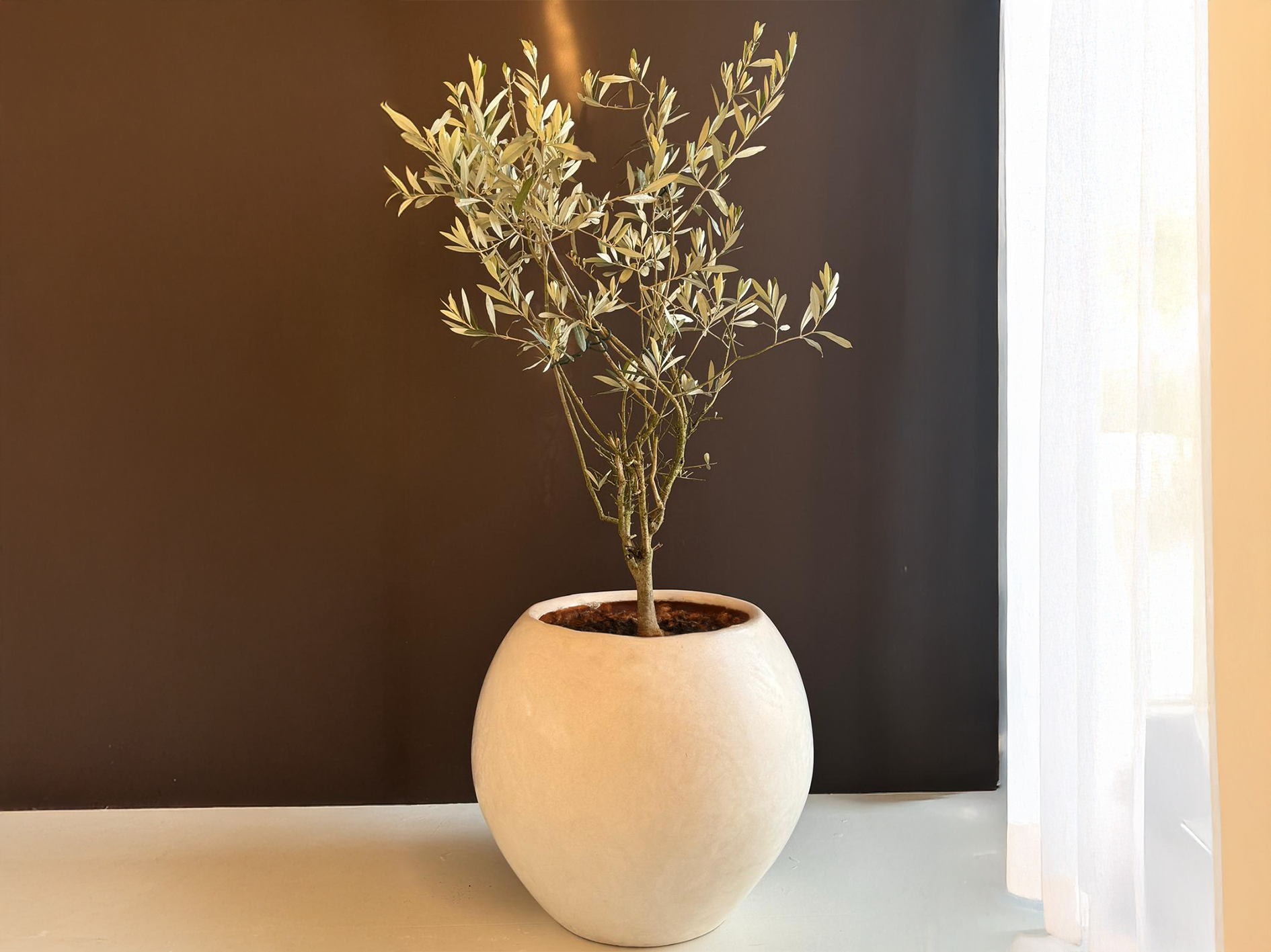 Pot Lina, L 50 cm