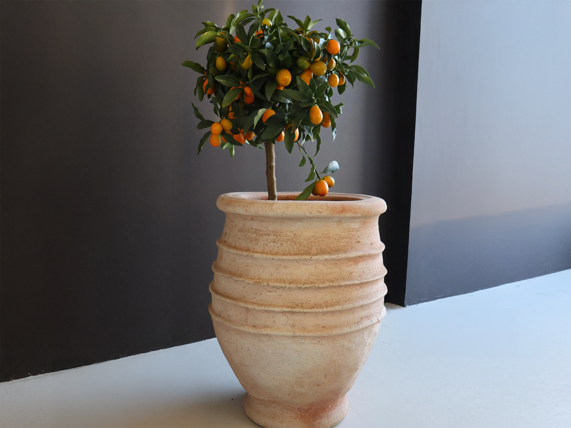 Pot Argos, L 50 cm